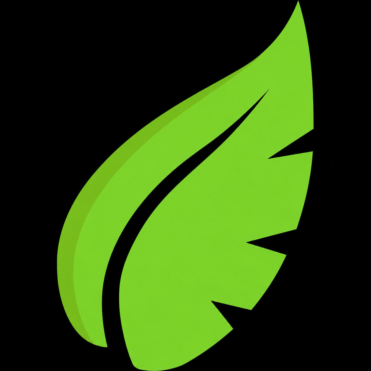 Feuille verte